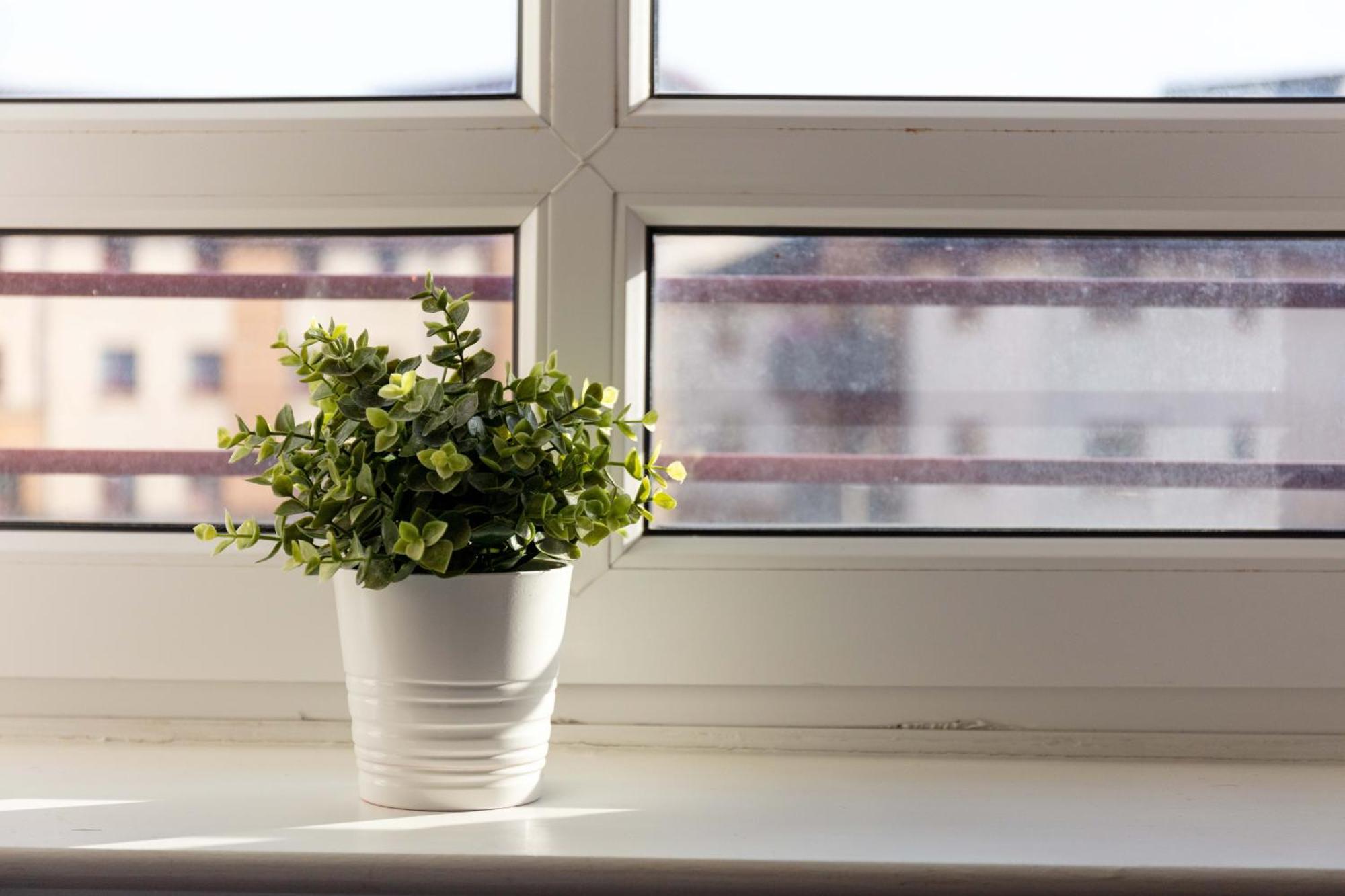 The Original Donnini Apartment Ayr Eksteriør bilde